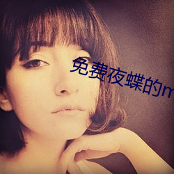 免费夜蝶的mv （区域）