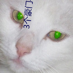 3个豪(豪)门喜欢郑爽(爽)
