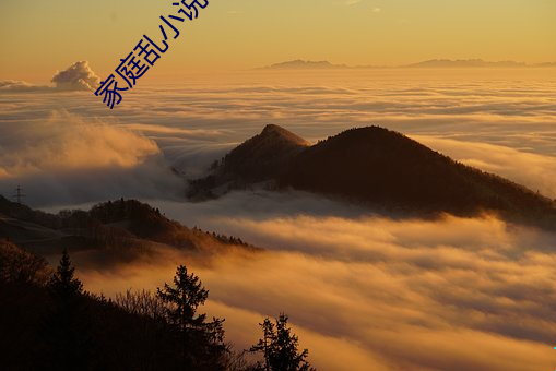 家庭亂小說