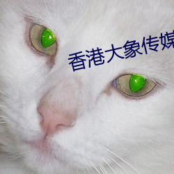金年会(中国)官方网站