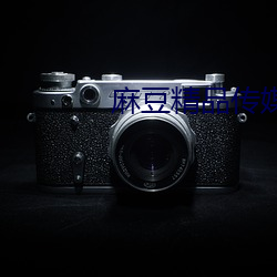 麻豆精品传媒2021网站入口下载
