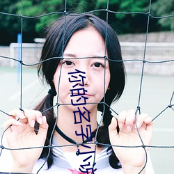 你的名字小說