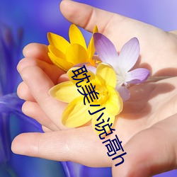 ca88手机客户端(安卓/苹果)CA88会员登录入口