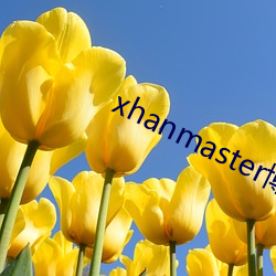 xhanmaster博客 （起点）