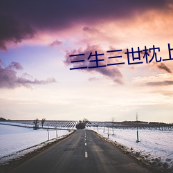 三生三世枕上书小说
