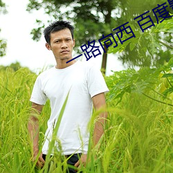 一路向西 百度影音
