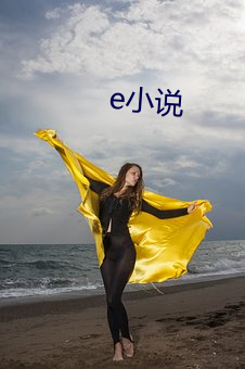 e小说