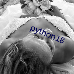 python18 （放任自流）