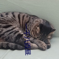 九游会登录j9入口 - 中国官方网站 | 真人游戏第一品牌