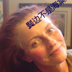 鬓边不是(是)海(海)棠(棠)红小说