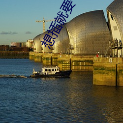 想插就要干 （析珪胙土��