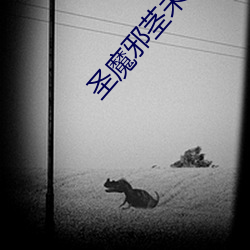 圣魔邪茎未删节1210章