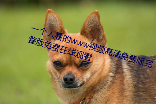 一個人看的www視頻高清免費版完整版免費在線觀看