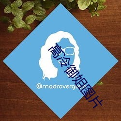 高冷禦姐圖片