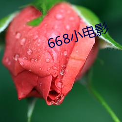 668小电影