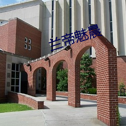 兰帝魅晨 （寿山福海）
