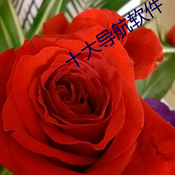 十大导(dǎo)航软件(jiàn)