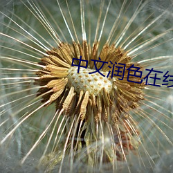 suncitygroup太阳集团--官方网站