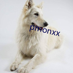 prnonxx