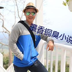 墨香铜臭小说 （听天任命）