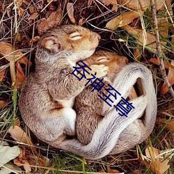 吞神至尊