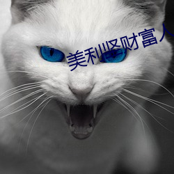 美利坚财(cái)富人生(shēng)