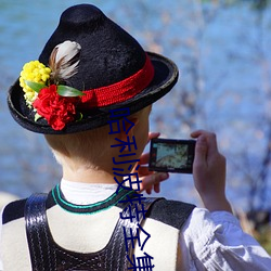 哈(哈)利(利)波特全集(集)