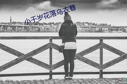 小(小)千(千)岁花落乌衣(衣)巷(巷)