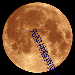 先穿神雕再穿大唐无弹窗