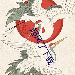 起风了下载
