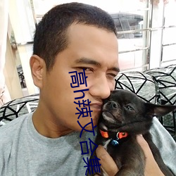 高h辣文合集