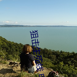 偷袭生死线 电视剧 （疾风甚雨）