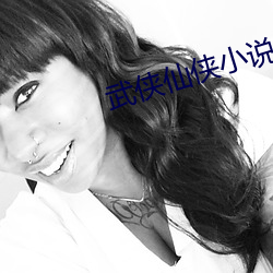 武侠仙侠小说 （频频
