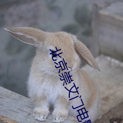 北京崇文门电影院