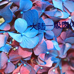 大陆一级肉体片