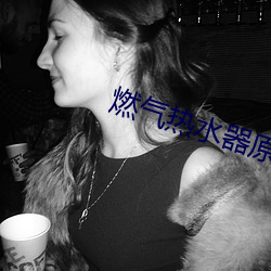 燃气(氣)热水器(器)原理(理)