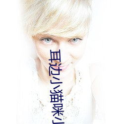 耳邊小貓咪小說
