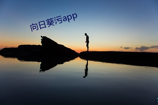 向日葵(葵)污app