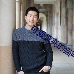可愛漂亮的貓咪圖片