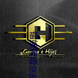 错(cuò)嫁(jià)替婚(hūn)总裁