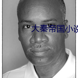 大秦帝國小說
