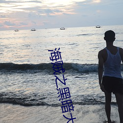 海賊之黑暗大將