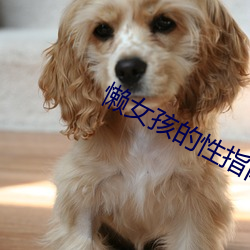 懒女孩(孩)的性(性)指(指)南