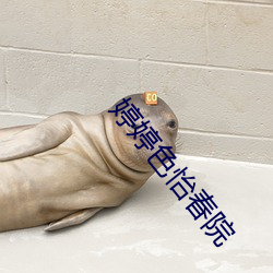 918博天堂·(中国)手机版客户端