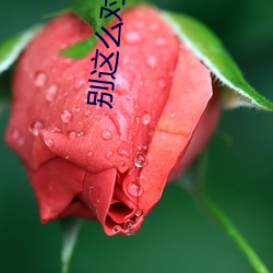 vwinӮ(й) - ٷվ