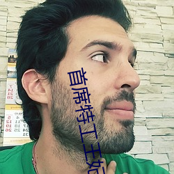 首席特(特)工王妃
