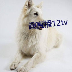 趣直(zhí)播(bō)12tv