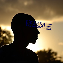 密战风(fēng)云