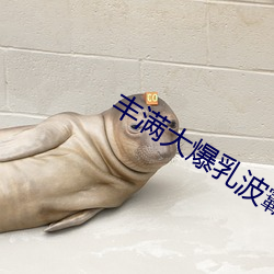 豐滿大爆乳波霸奶