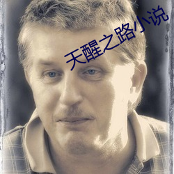 天(天)醒之路小说